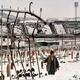 Image for article titled What Happens When Your Olympic Site Turns Into a War Zone